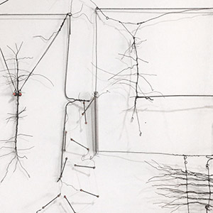 Dibujo sin Papel 85/1